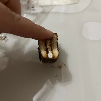 Migros Kıl Çıktı İğrendim