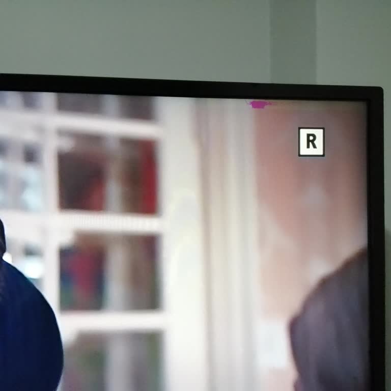 Regal Marka Model Televizyon