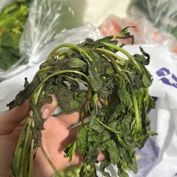 Getir Büyük Bozuk Ürün Gönderiyor