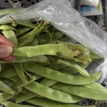 Getir Büyük Bozuk Ürün Gönderiyor