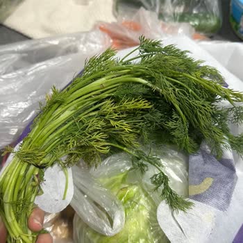 Getir Büyük Bozuk Ürün Gönderiyor