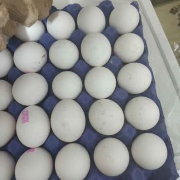 Migros Sanal Market Bozuk Ürün