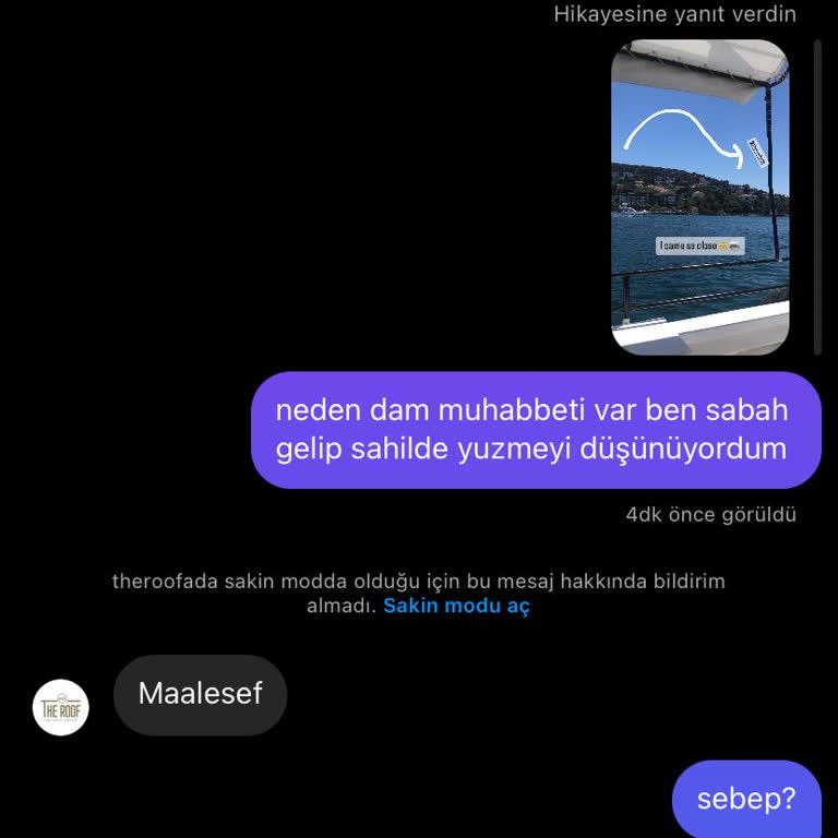 The Roof Ada Dam Muhabbeti Yapıyor