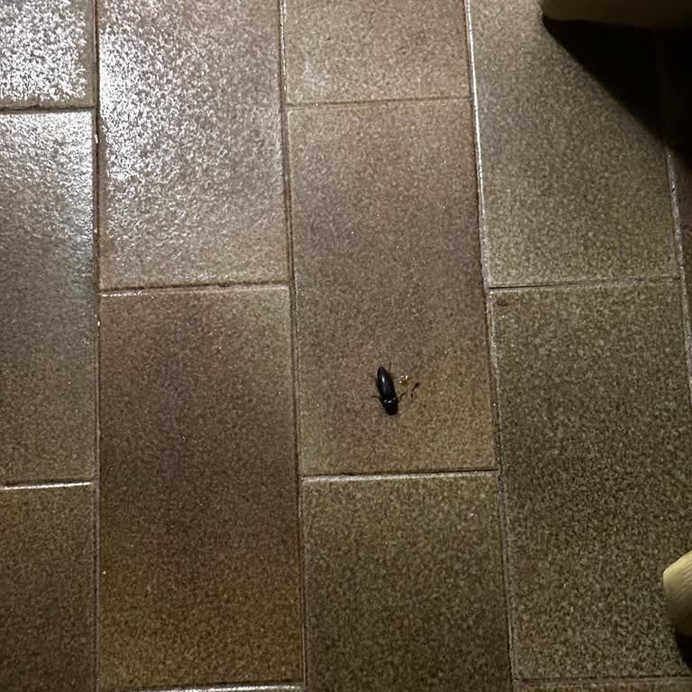 Afytos Akçay Otel Etstur Mağduriyeti