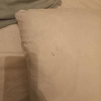 Enuygun.com Pis Otel İlgisizler