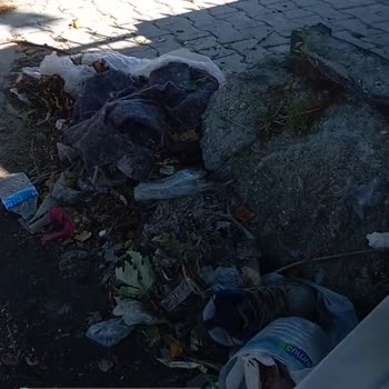 Mondial Motor Servisinde Pislik Ve Dağınıklık Had Safhada!