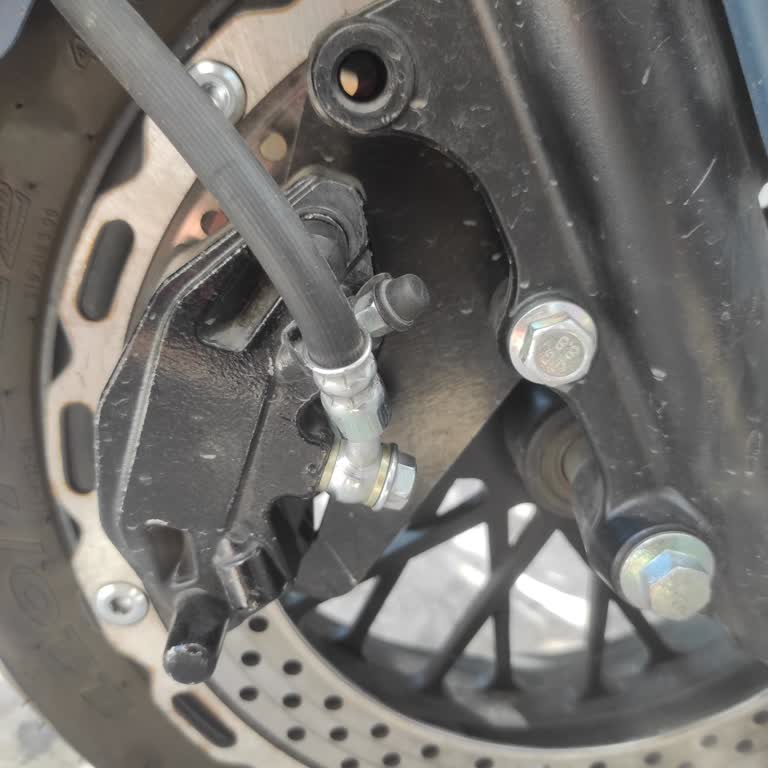 Falcon Baştan Aşağı Bela