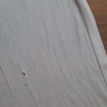 Beko Cm 11140 Çamaşır Makinesi Kıyafetleri Yırtıyor