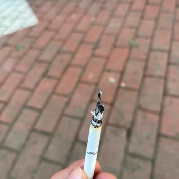 Philips Marlboro Touch Blue Sigarasından Odun Çıkması