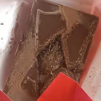 Ülker Sütlü Çikolatanın İçinden Böcek Ve Bitki Tarzı Cisim Çıktı