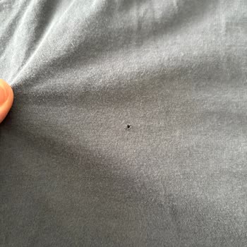 Mavi T-shirt Kalitesizliği Değişim Gerek