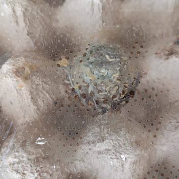 A101 Bozuk Ürün Gönderimi