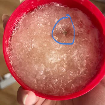 Urban Care Taş Buldum Şampuanda