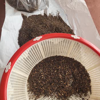 BİM Market Çaydan Çöp Çıkması