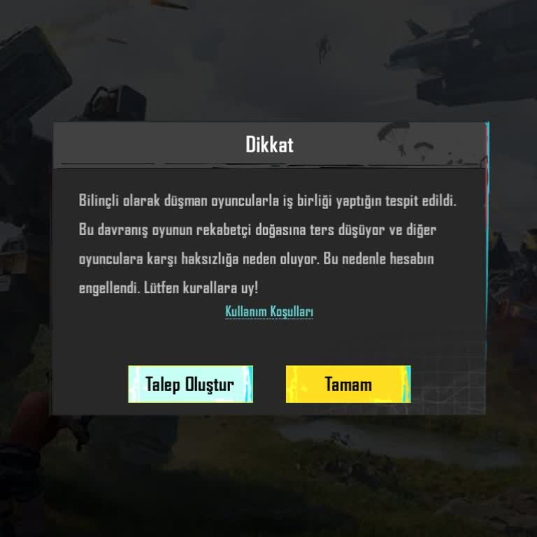 PUBG Mobile Ban Sorunu