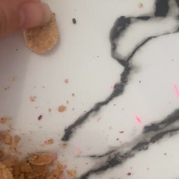 Kellogg's İçinden Canlı Böcekler Çıktı