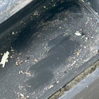 Eskişehir Yiğit Temizlik Temizlik Yapmadan Gitmişler