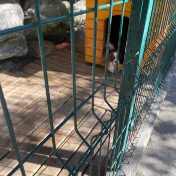 Sopeli Doğal Yaşam Köyü Doğal Yaşam Köyünden Başka Her Yer Olabilir