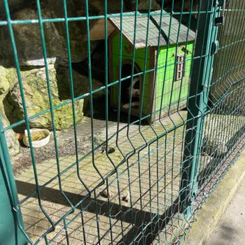 Sopeli Doğal Yaşam Köyü Doğal Yaşam Köyünden Başka Her Yer Olabilir