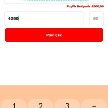 Payfix Para Çekememe Sorunu