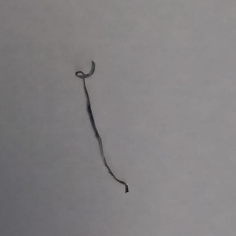 Domino's Pizza Pizzada Bulaşık Teli