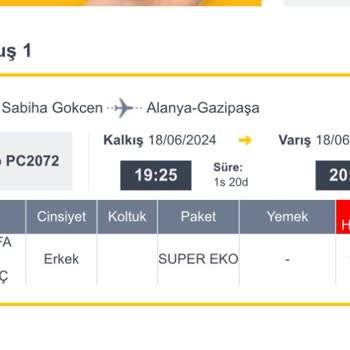 Pegasus Bagaj Hakkı Hakkında