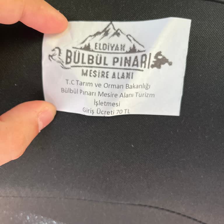 Bülbül Pınarı Mesire Alanı Bungalov Evleri S O Y G U N Yapıyorlar İnsanları S Ö M Ü R Ü Y O R Lar