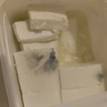 A101 Küflenmiş Peynir Lütfen Dikkat Edilsin