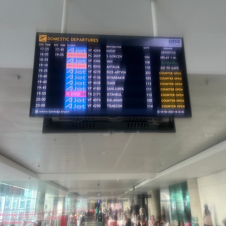 Pegasus'un Son Dakika Rötarları