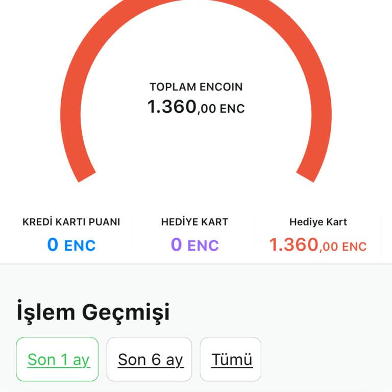 Enuygun.com Encoin İle Ödeme Sorunu Ve Müşteri Hizmetleri Cevapsızlığı