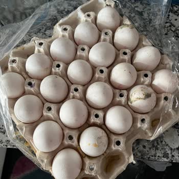 A101 Kırık Küflü Bozuk Yumurta Gönderimi