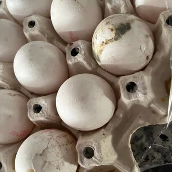 A101 Kırık Küflü Bozuk Yumurta Gönderimi