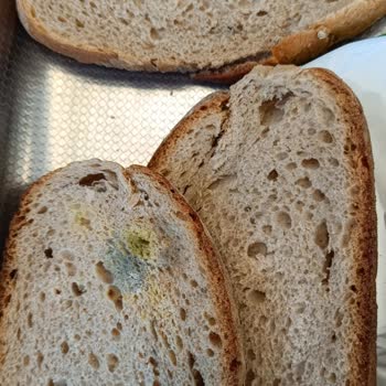 Akuğur Market Batıkent Şube Müdürünün Müşteriye Saygısızlığı