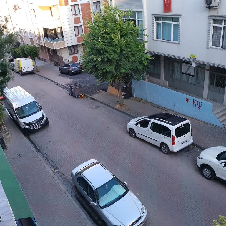 Güngören Belediyesi Güngören'de Sivrisinek Sorunu: Acil Çözüm Bekliyoruz!
