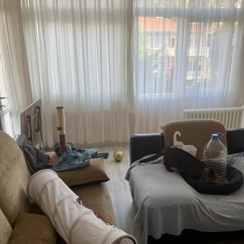 Armut'ta Temizlik Sorunu