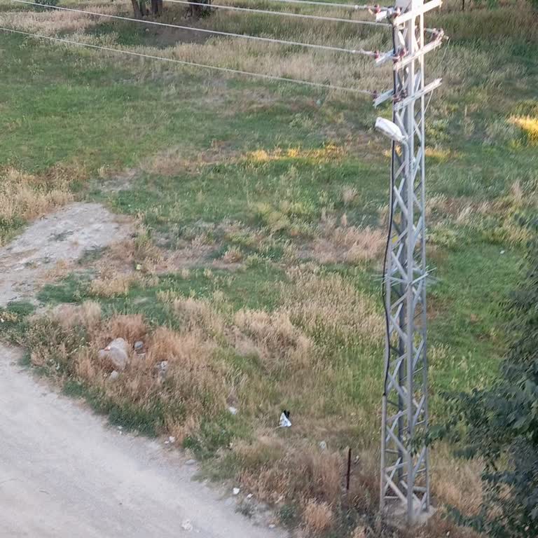 Boyabat Belediyesi Çöp Sorununu Çözmek İçin Neyi Bekliyorsunuz