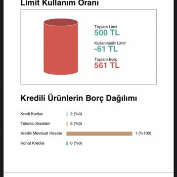 Findeks Raporu Puan Yükselmemesi