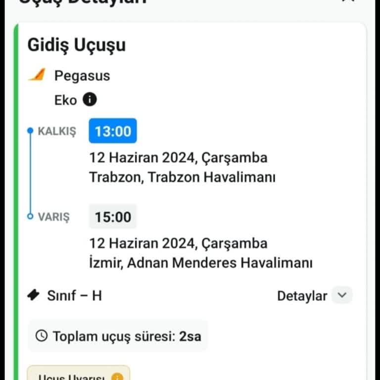 Pegasus Uçuş Saati Bilgilendirme Eksikliği Ve Müşteri Hizmetleri Sorunu