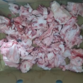 A101'den Aldığımız Kurbanlık Eti Hayal Kırıklığına Dönüştü!