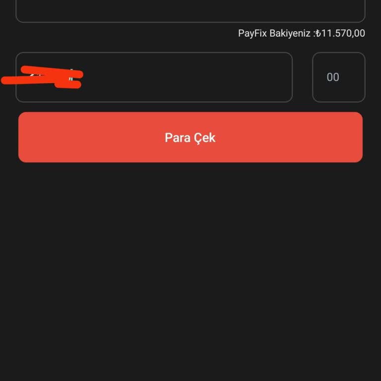 PayFix Para Çekememe Sorunu