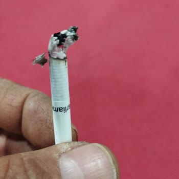 Philip Morris Sigaranın İçinde Yabancı Madde Çıkması