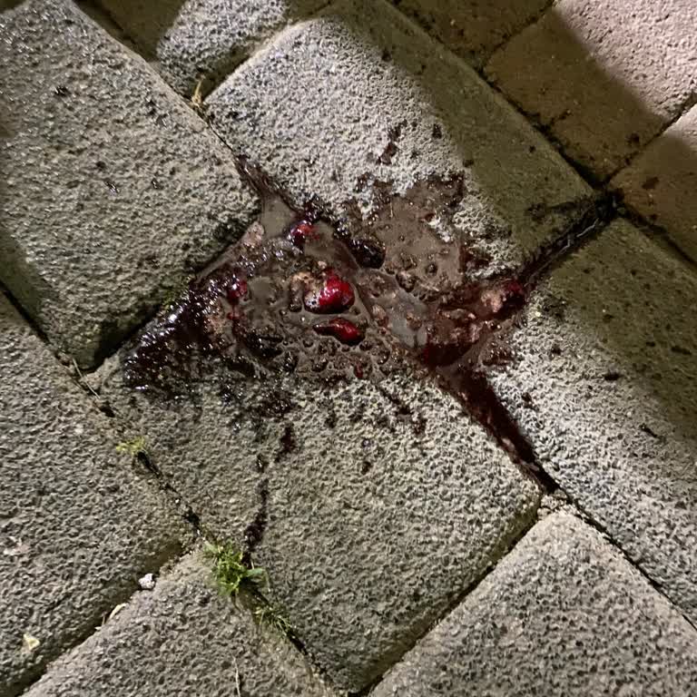 Sağlık Bakanlığı Bursa Çekirge Hastanesi Acil