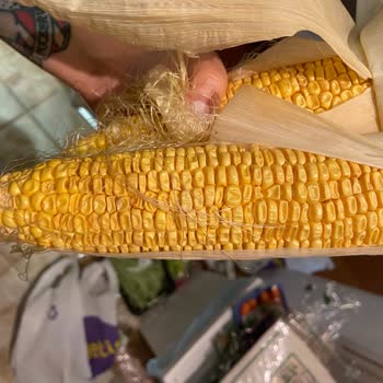 Getir Canlı Yardım Problemi