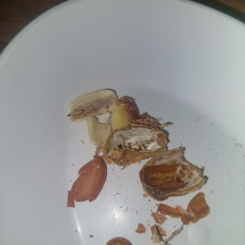 Kurtuluş Kuruyemiş Ucuz Ürün Kali