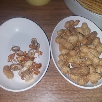 Kurtuluş Kuruyemiş Ucuz Ürün Kali