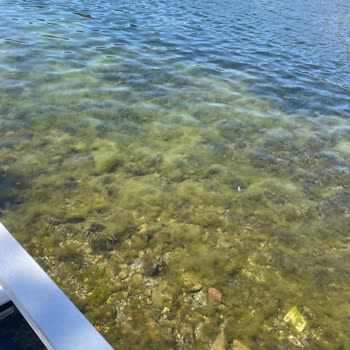 Ada Beach Club Paranızla Ne Kadar Rezil Olabilirsiniz