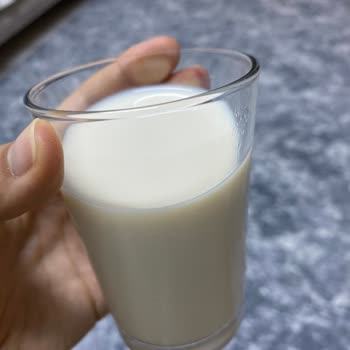 Birşah Laktozsuz Süt Rengi Koyu