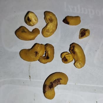 Epttavm, Nizip Gıda, Bozuk Kuru Ürün