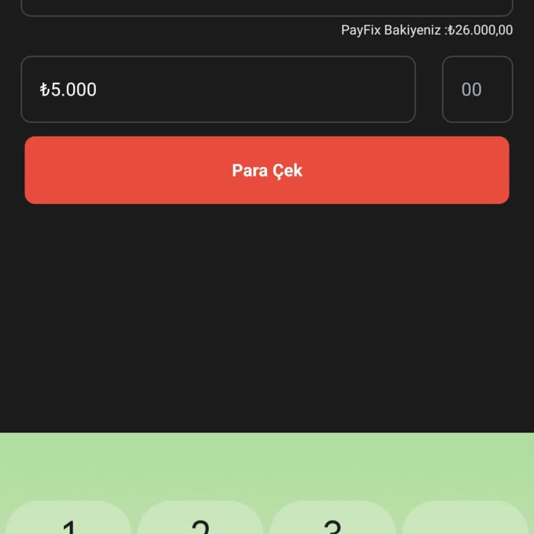 PayFix Para Çekim İşlemi Tüm Bankalarda Kapalı