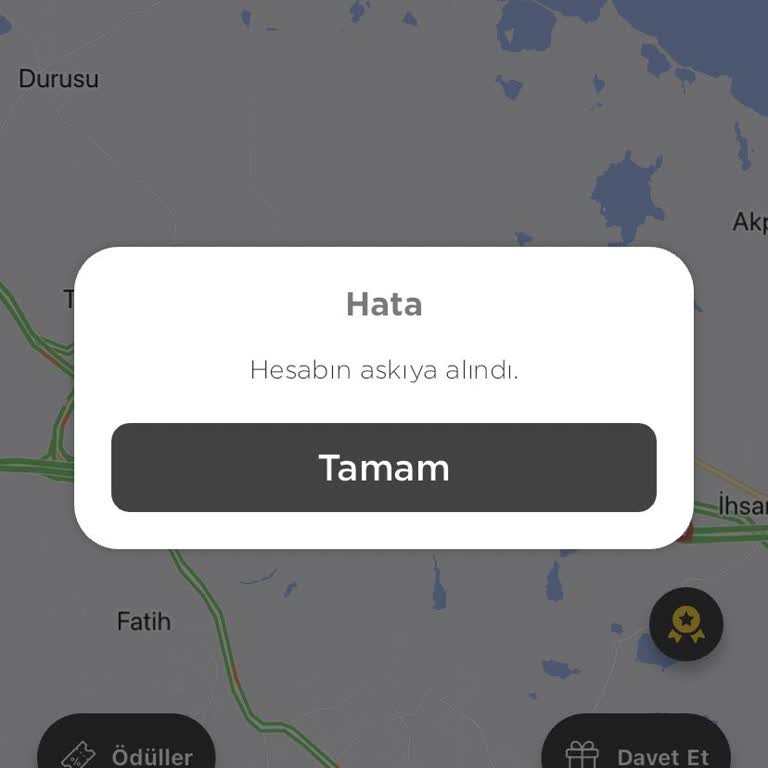 Martı Hesabımın Askıya Alınması Hk.